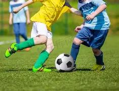 达洛特,坚信阿莫林,助力英超霸,世界杯小组赛,2026世界杯,赛程安排,参赛球队,赛事分析